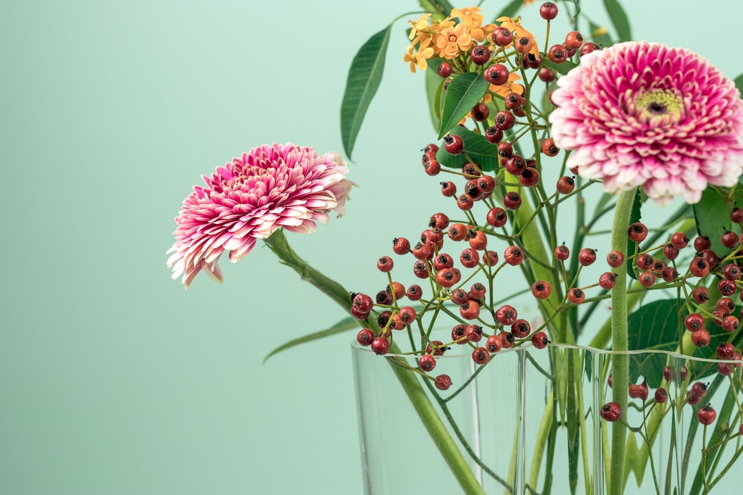 pink, yellow and brown petaled flowers