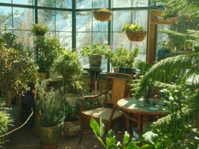 Hoe een maatwerk serre je woning vult met natuurlijk daglicht