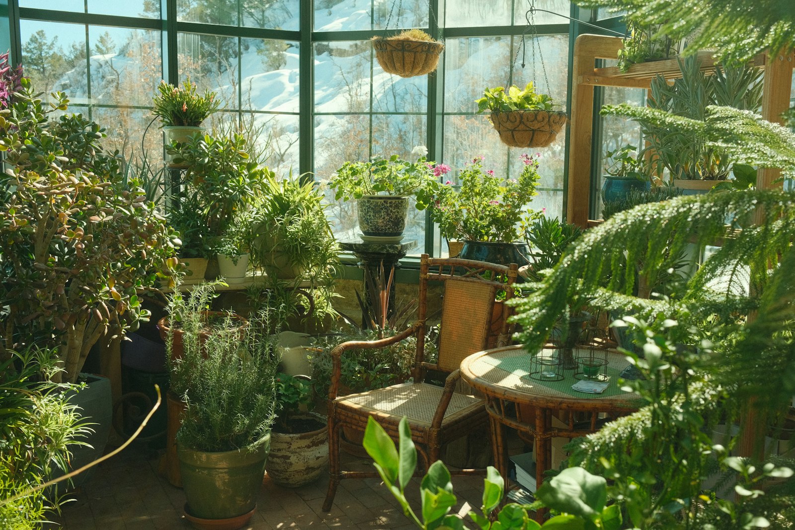 Hoe een maatwerk serre je woning vult met natuurlijk daglicht
